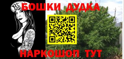 молекула духа Гагарин