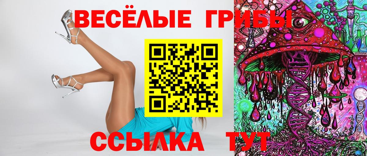 Галлюциногенные грибы GOLDEN TEACHER  Вход с VPN  Карачаевск  Галлюциногенные грибы Magic Shrooms 