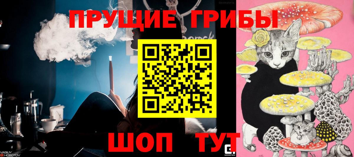 Галлюциногенные грибы MAGIC MUSHROOMS Карачаевск