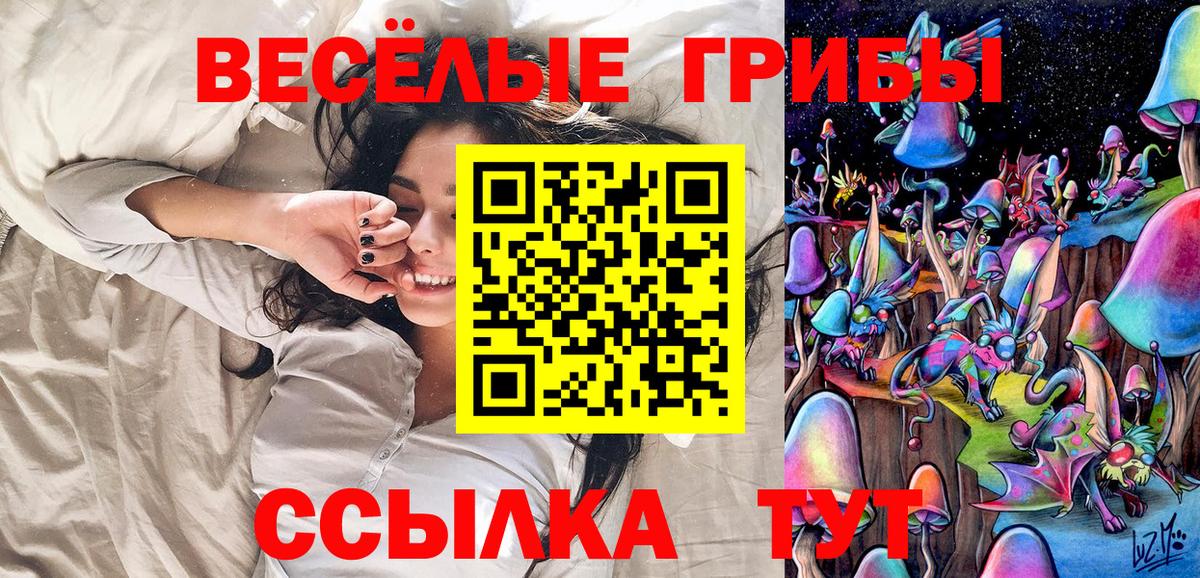 Галлюциногенные грибы ЛСД Карачаевск