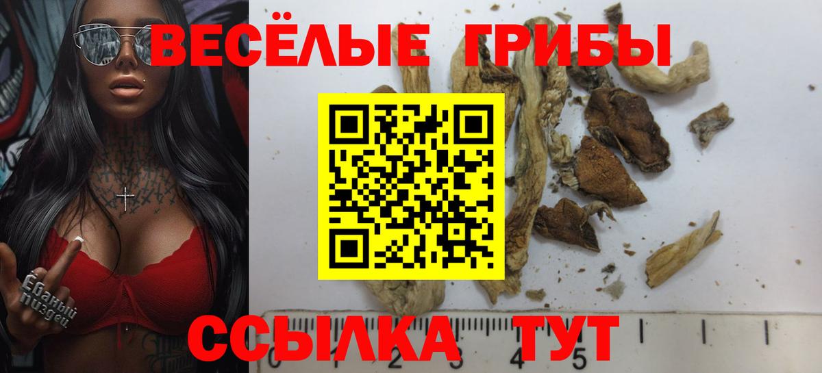 Псилоцибиновые грибы мицелий  Карачаевск 